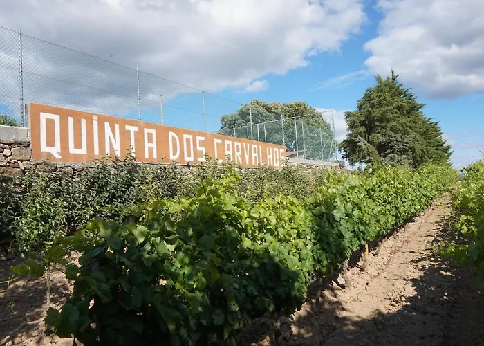 Quinta Dos Carvalhos Σπίτι διακοπών